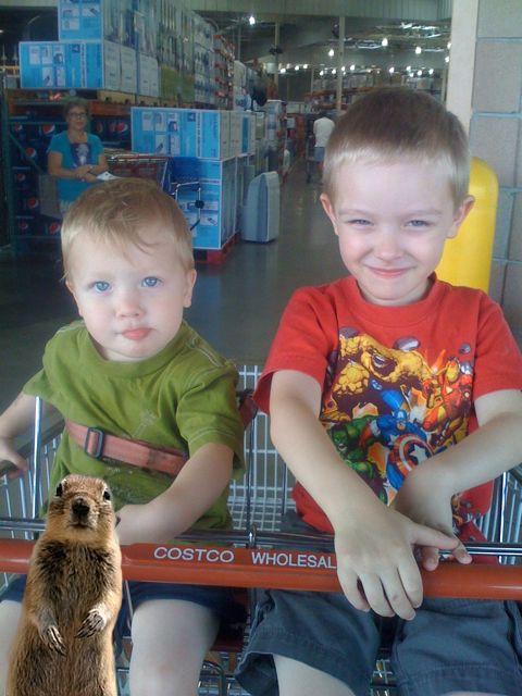 12509993184700244638557753